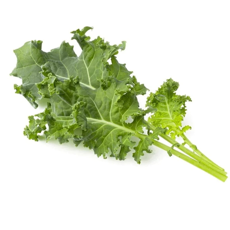 Click & Grow Green Kale Plant 3-pack