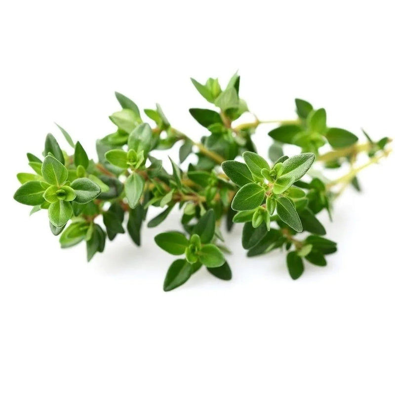 Click & Grow Plant Pods Thyme (Pack of 3)